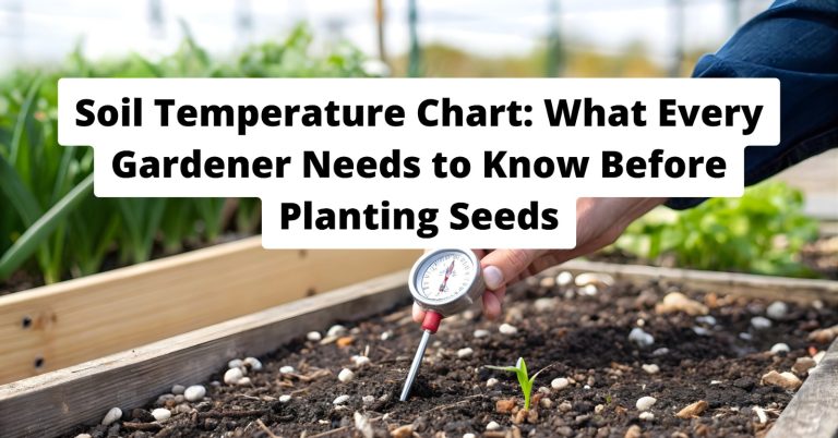 Garden soil thermometer measuring ground temperature for planting seeds