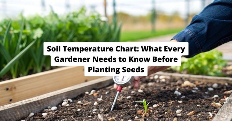 Soil Temperature Chart: What Every Gardener Needs to Know Before Planting Seeds