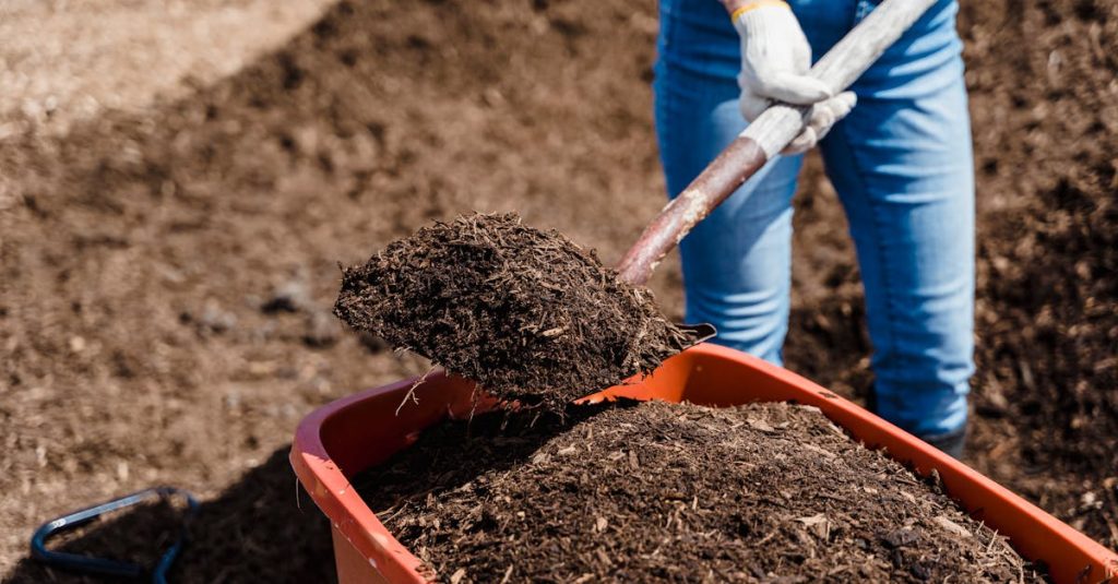How to Perform a Simple Jar Test to Determine Soil Type at Home