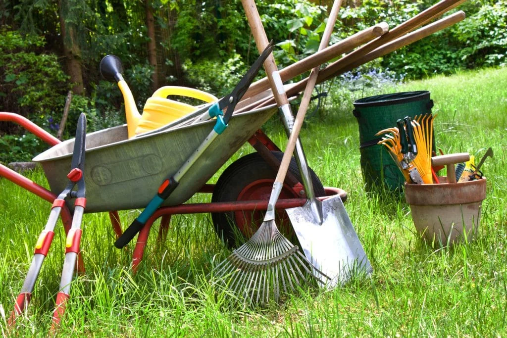 The First 10 Things Experienced Gardeners Do Every Spring Before Planting