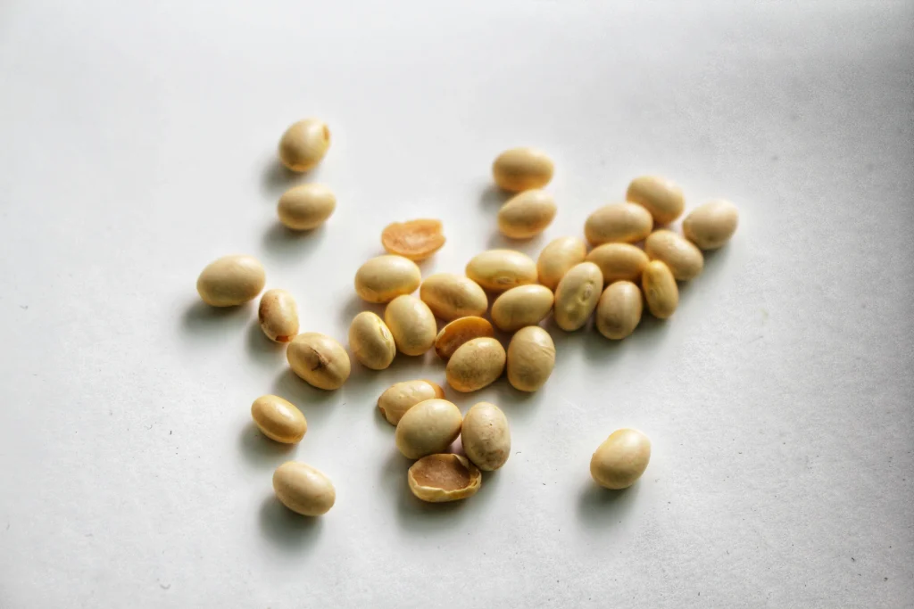 Close-up of swollen, pre-soaked bean seeds next to dry unsoaked seeds for comparison
