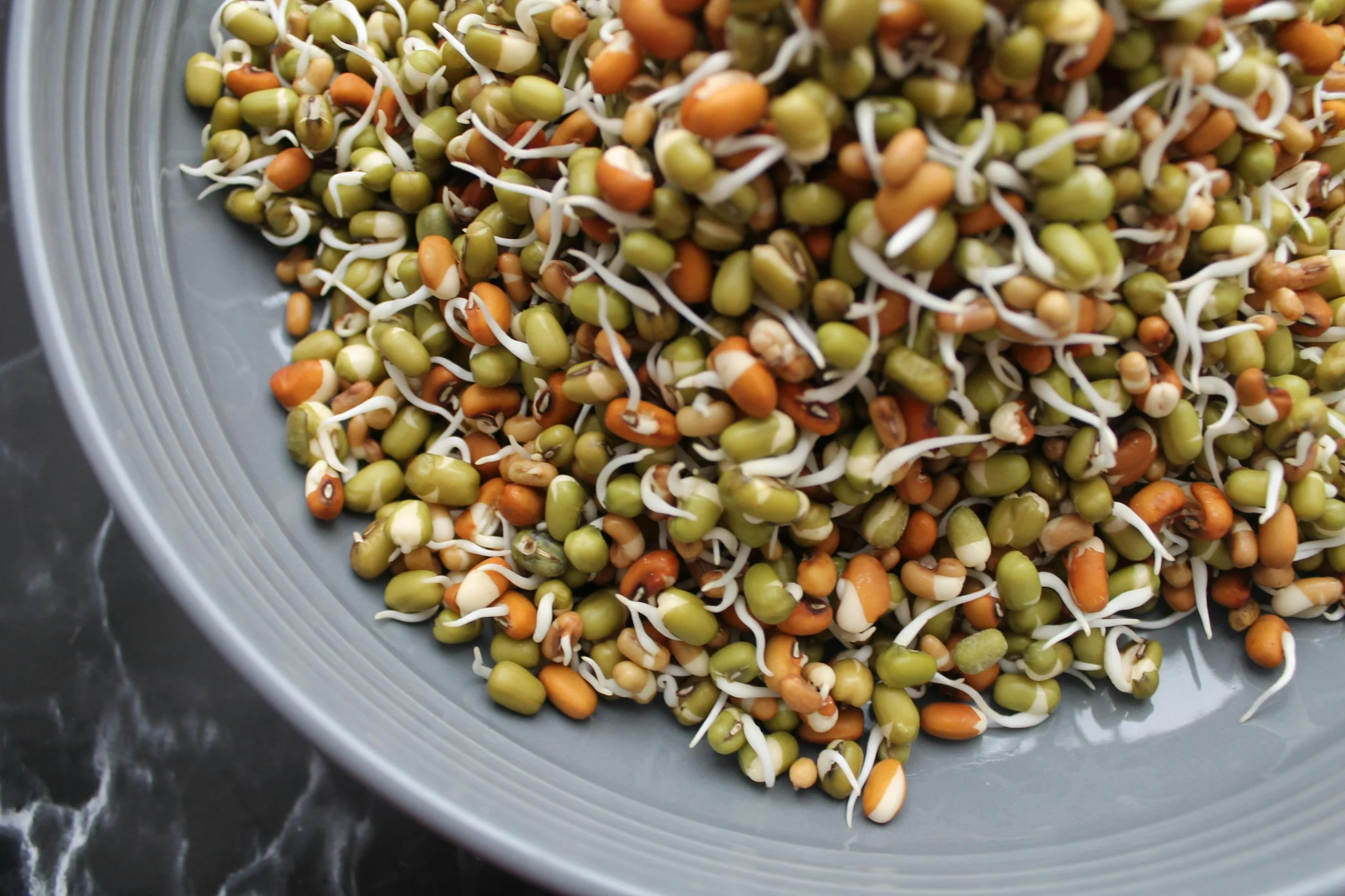Large seeds (beans, peas, corn) soaking in a bowl of water before planting