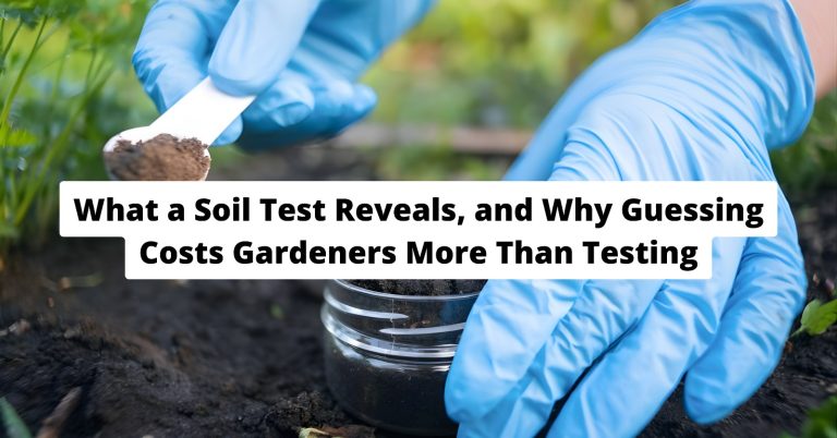 soil testing kit and sample collection for garden soil analysis