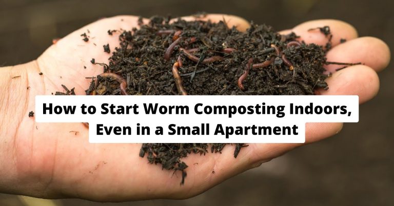 indoor worm compost bin setup with red wigglers and kitchen scraps