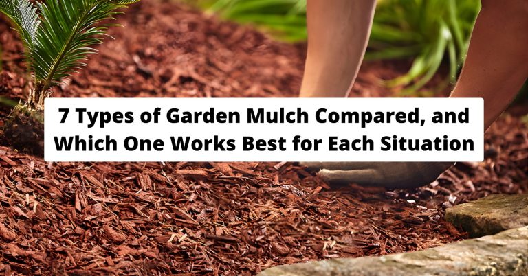 different types of garden mulch including straw, wood chips, leaves, and compost in a garden bed