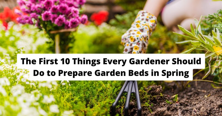 gardener preparing garden beds in spring with compost and tools