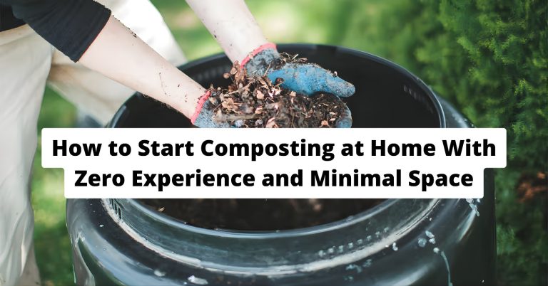 beginner composting bin setup at home with kitchen waste and dry leaves