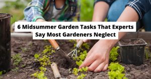 gardener planting seeds in midsummer vegetable garden
