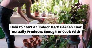 indoor herb garden with basil parsley and grow light setup in kitchen