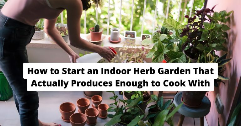 indoor herb garden with basil parsley and grow light setup in kitchen