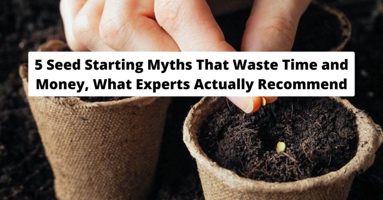 5 Seed Starting Myths That Waste Time and Money-What Experts Actually Recommend