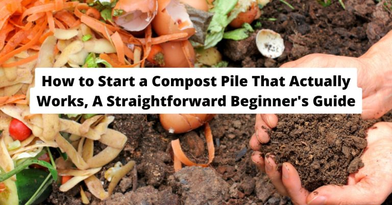 How to Start a Compost Pile That Actually Works-A Straightforward Beginner’s Guide