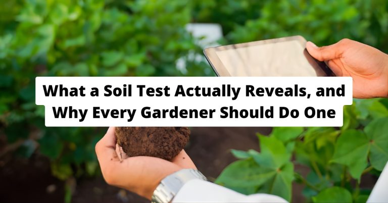 What a Soil Test Actually Reveals and Why Every Gardener Should Do One