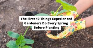10 spring garden preparation tasks soil compost tools planting guide for beginners