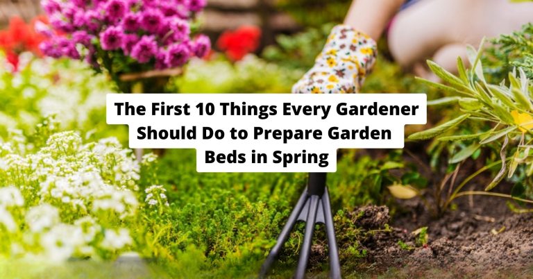 The First 10 Things Every Gardener Should Do to Prepare Garden Beds in Spring