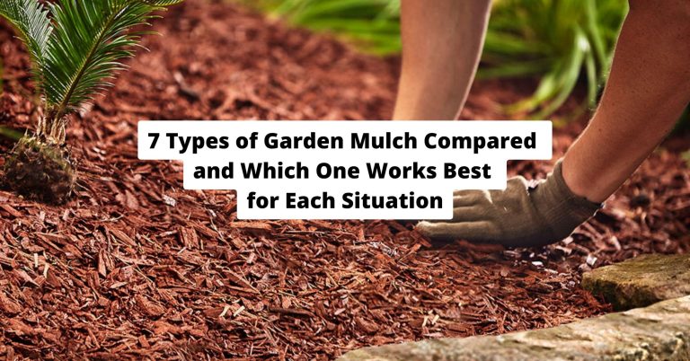 7 Types of Garden Mulch Compared and Which One Works Best for Each Situation