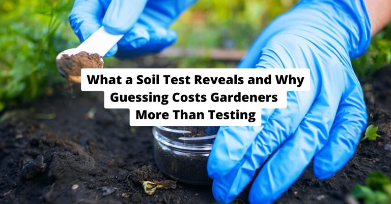 What a Soil Test Reveals and Why Guessing Costs Gardeners More Than Testing