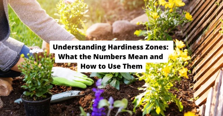 Understanding Hardiness Zones: What the Numbers Mean and How to Use Them