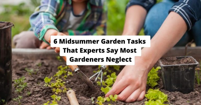 6 Midsummer Garden Tasks That Experts Say Most Gardeners Neglect