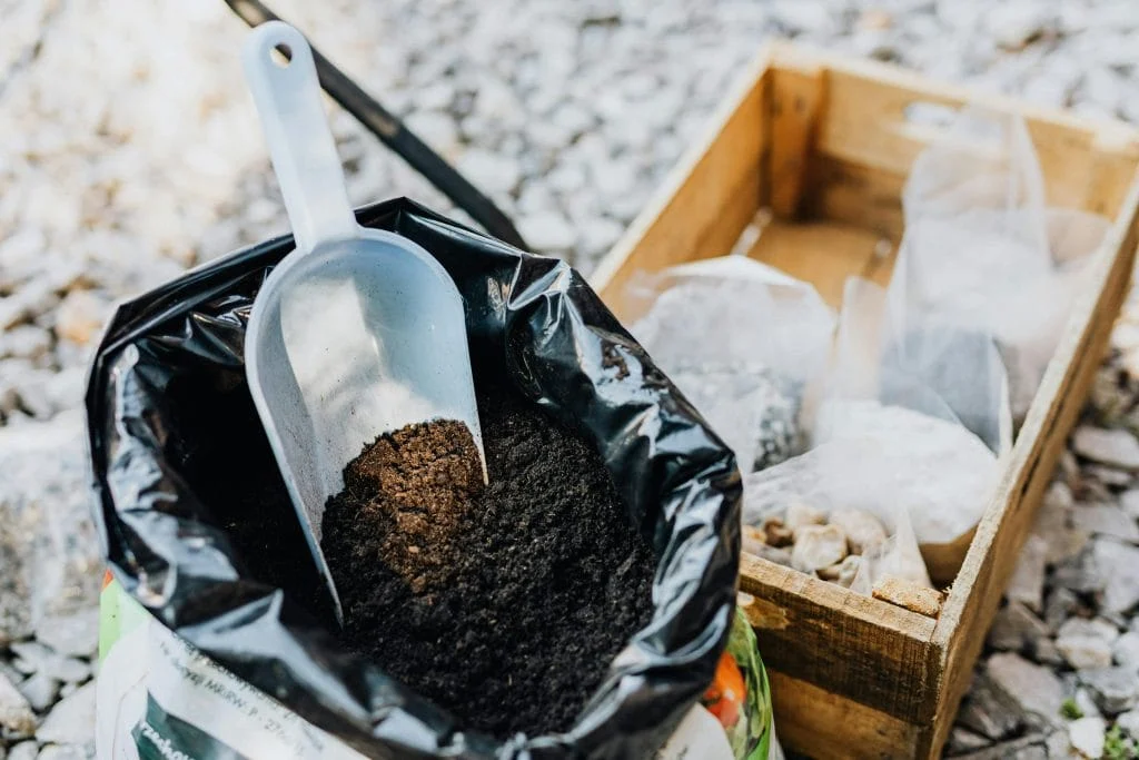 How to Build Healthy Garden Soil From Scratch in a New Yard