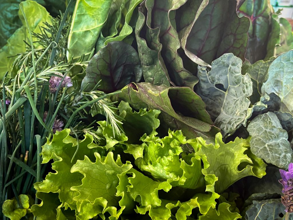 9 Vegetables Experts Recommend Planting in Late Summer for a Fall Harvest