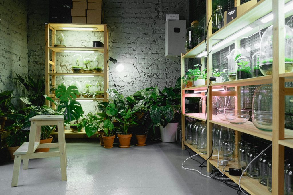 How to Start an Indoor Herb Garden That Actually Produces Enough to Cook With