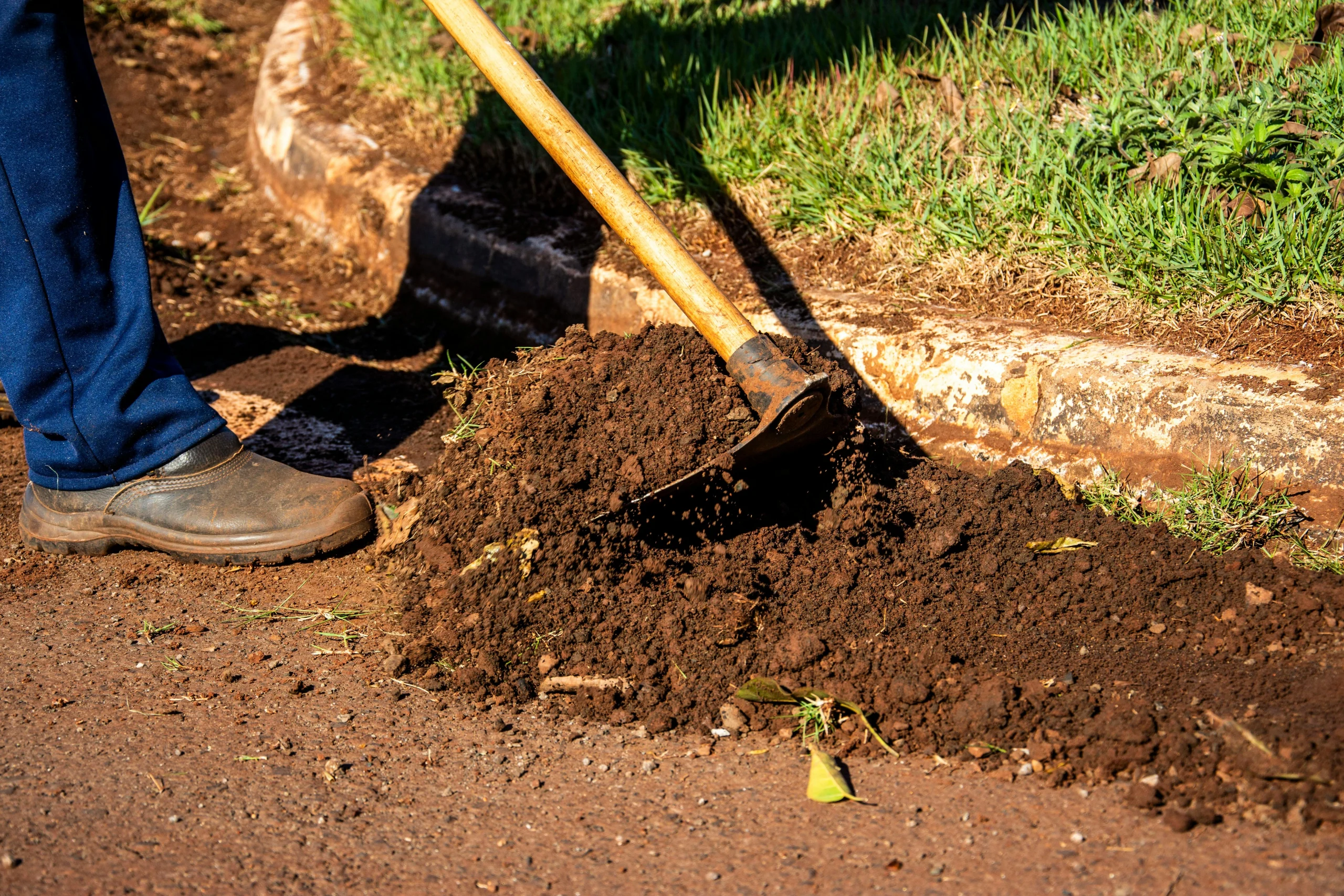 Heavy clay soil being amended with compost in a garden bed