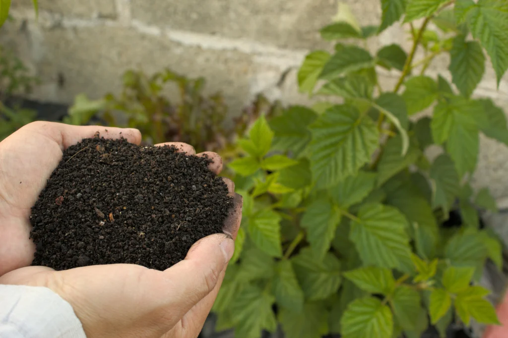 Improved garden soil with visible dark compost mixed into lighter clay base
