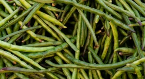 A detailed view of fresh, organic green beans, perfect for healthy and nutritious meals.