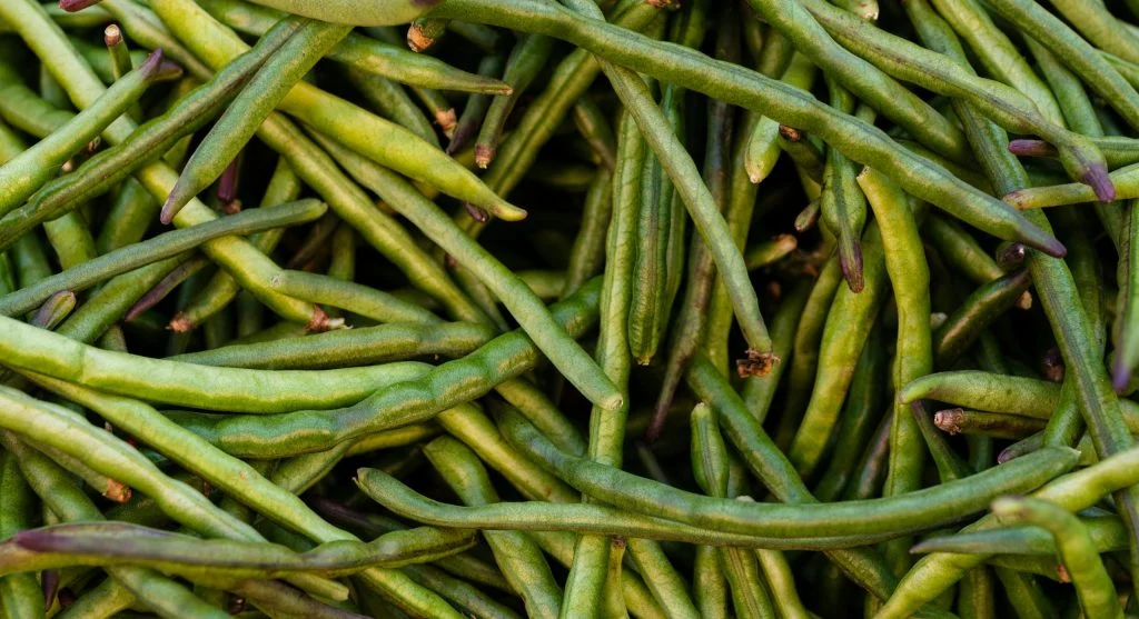 7 Cool-Season Crops That Grow Better When Planted Directly in the Garden