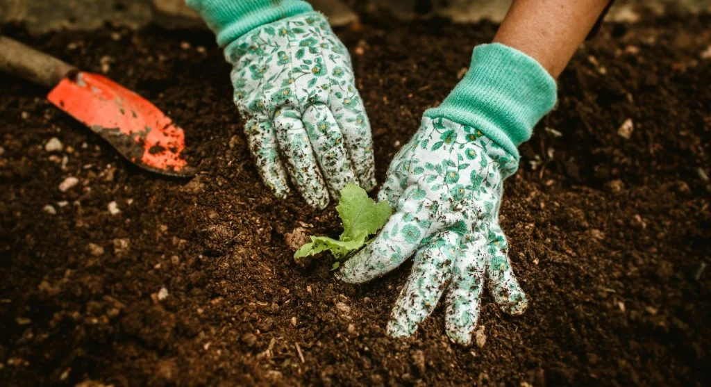 Preparing the Soil for Spring Planting