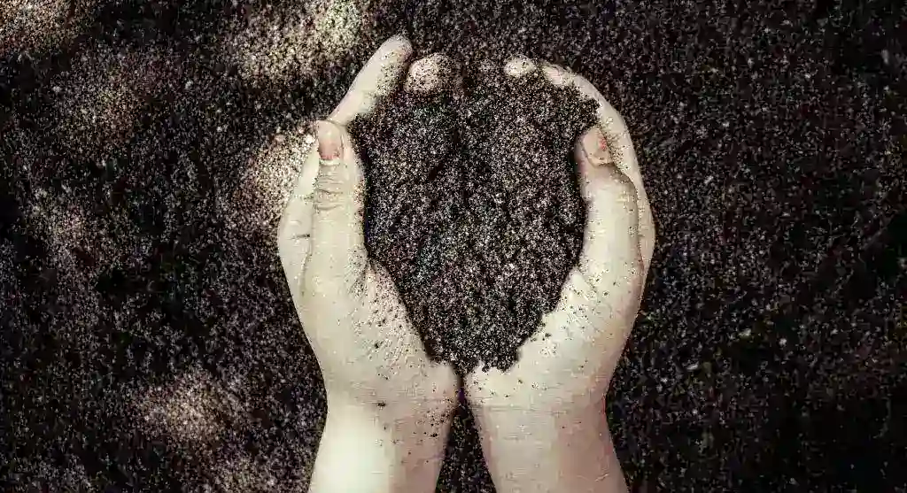 Two hands cupping dark soil, symbolizing nature and growth.
