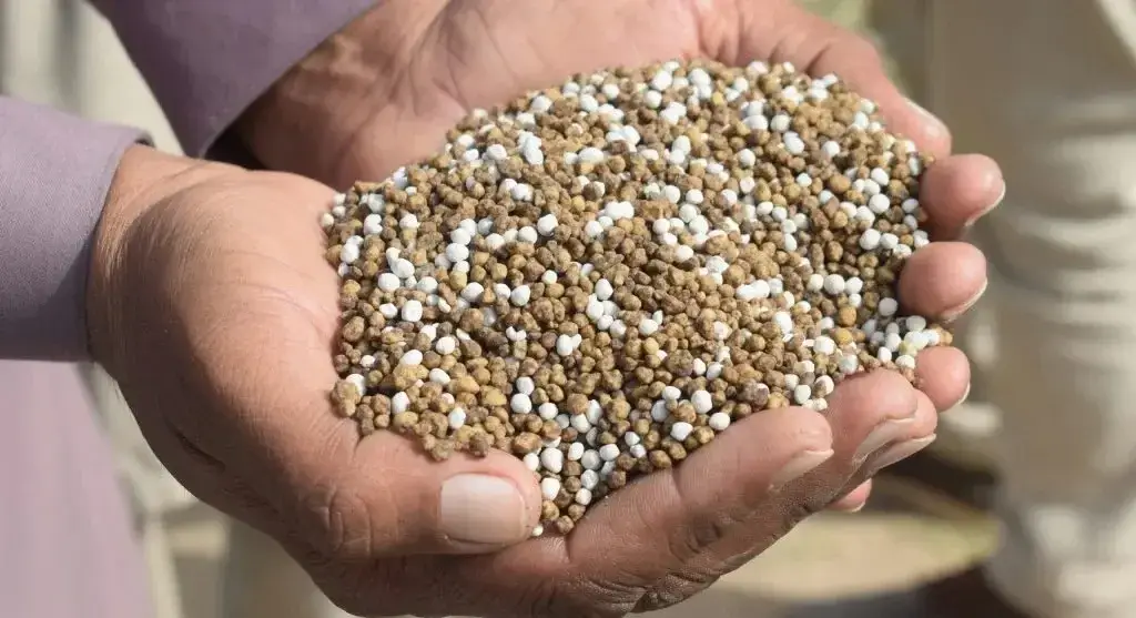 6 Common Fertilizer Mistakes That Can Harm Plants Instead of Helping Them