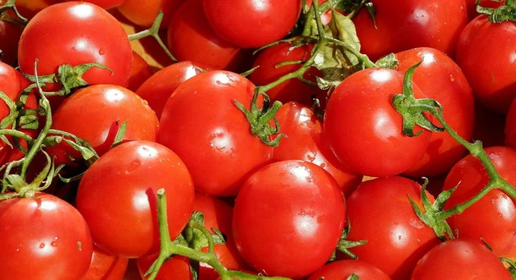 Vibrant close-up of fresh cherry tomatoes, showcasing their juiciness and bright red color. 