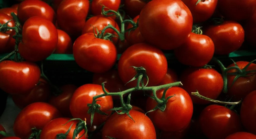 Vibrant red tomatoes on the vine, perfect for healthy recipes.
