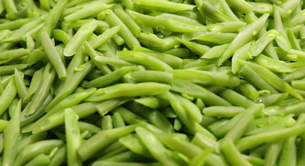 A detailed view of fresh, organic green beans, perfect for healthy and nutritious meals.