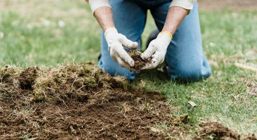 A person in jeans and gloves kneeling on grass tending to soil in a garden setting. 