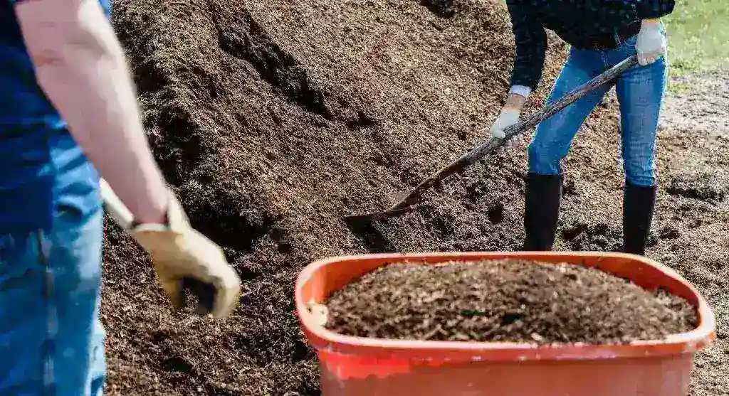 How to Start Composting at Home With Zero Experience and Minimal Space