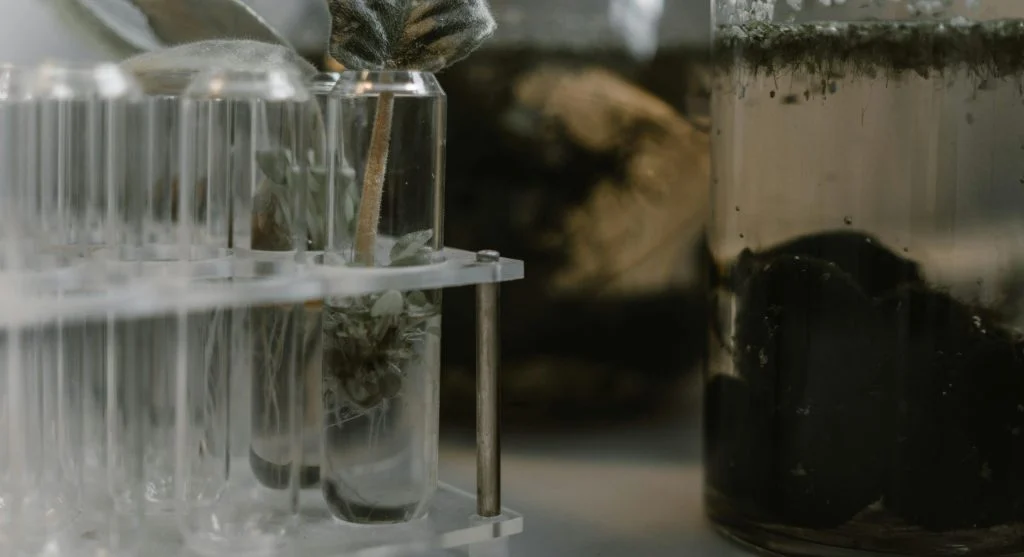 A person is using a small scoop to place soil into a test tube