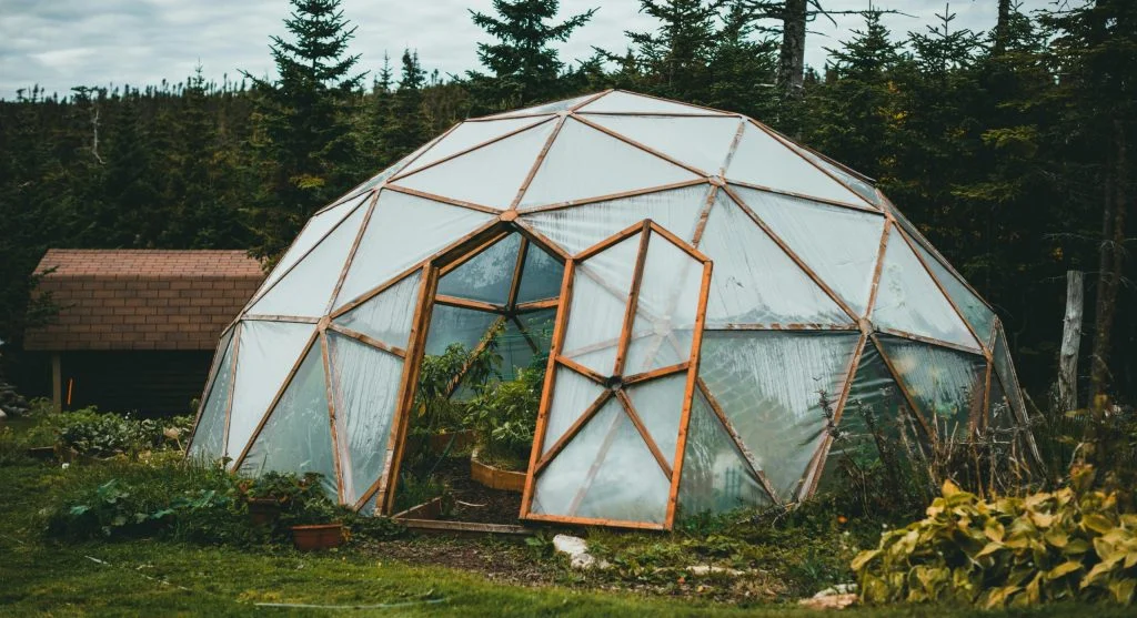 Design a Backyard Greenhouse to Extend Your Growing Season