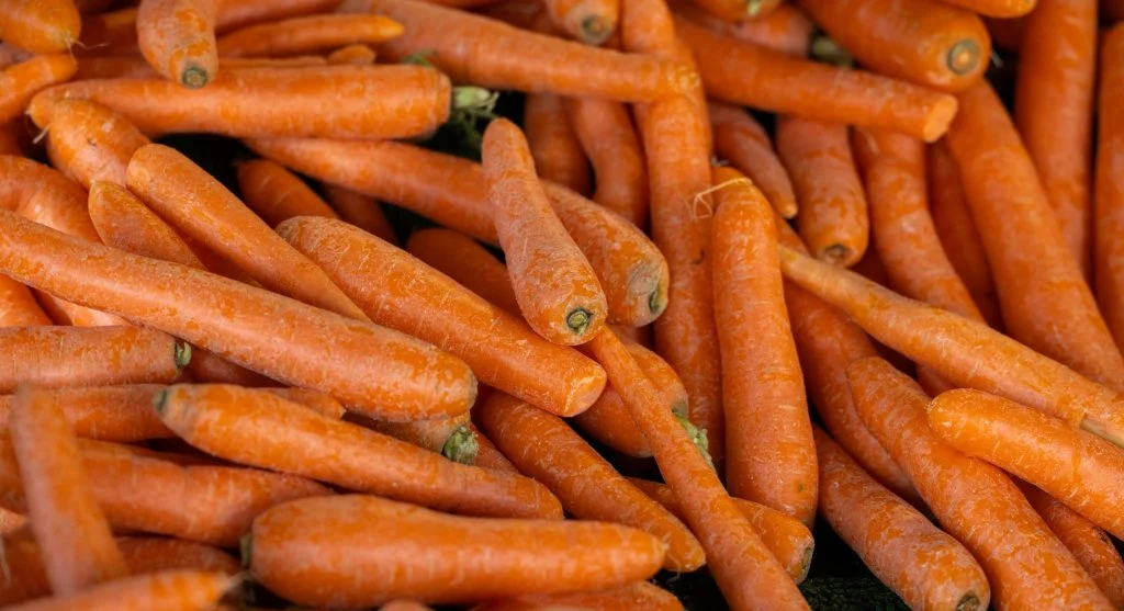 How to Grow Carrots That Are Straight, Sweet, and Full-Sized Every Time
