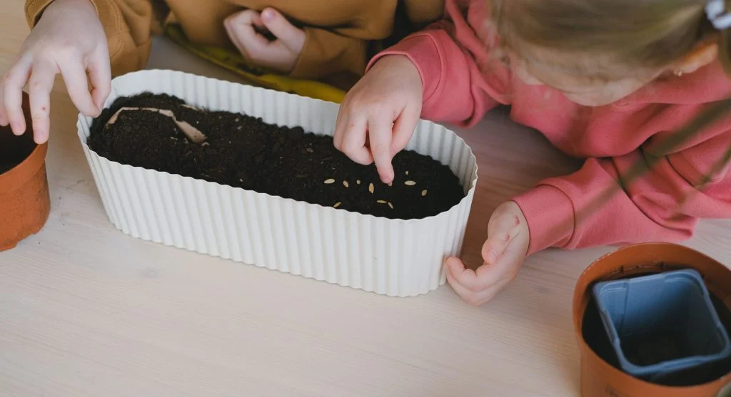 10 Flower Seeds That Are Easy Enough for Children to Grow Successfully