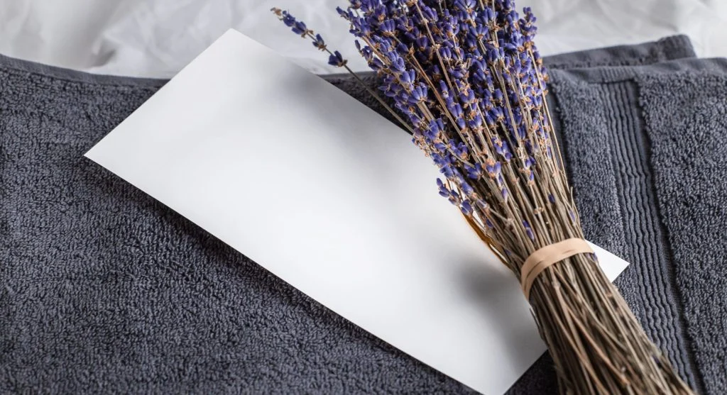Lavender seeds on a moist paper towel inside a sealed bag for cold stratification