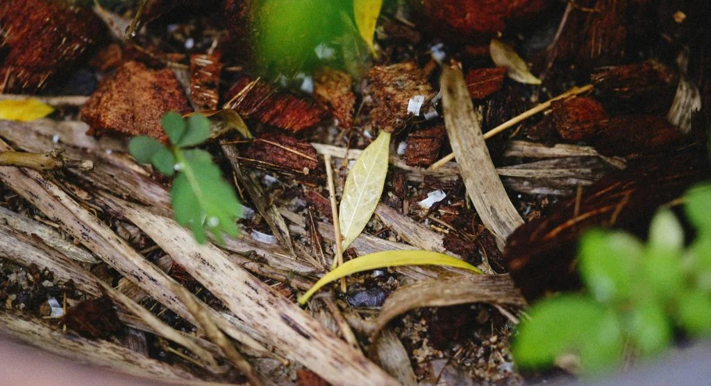 Bokashi Composting: How to Ferment Kitchen Waste Into Soil Amendment Indoors