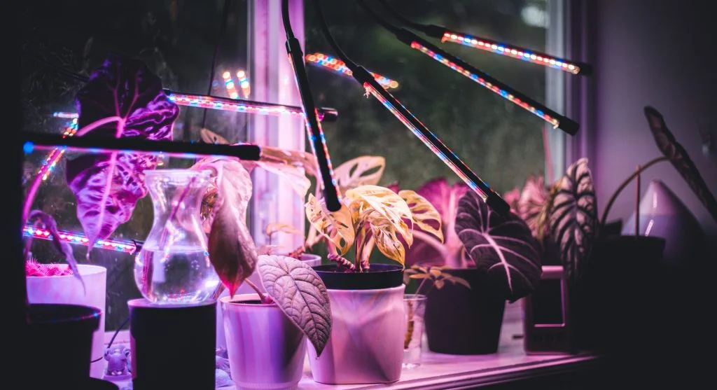 Different types of grow lights LED panel, shop light, and clip-on light compared