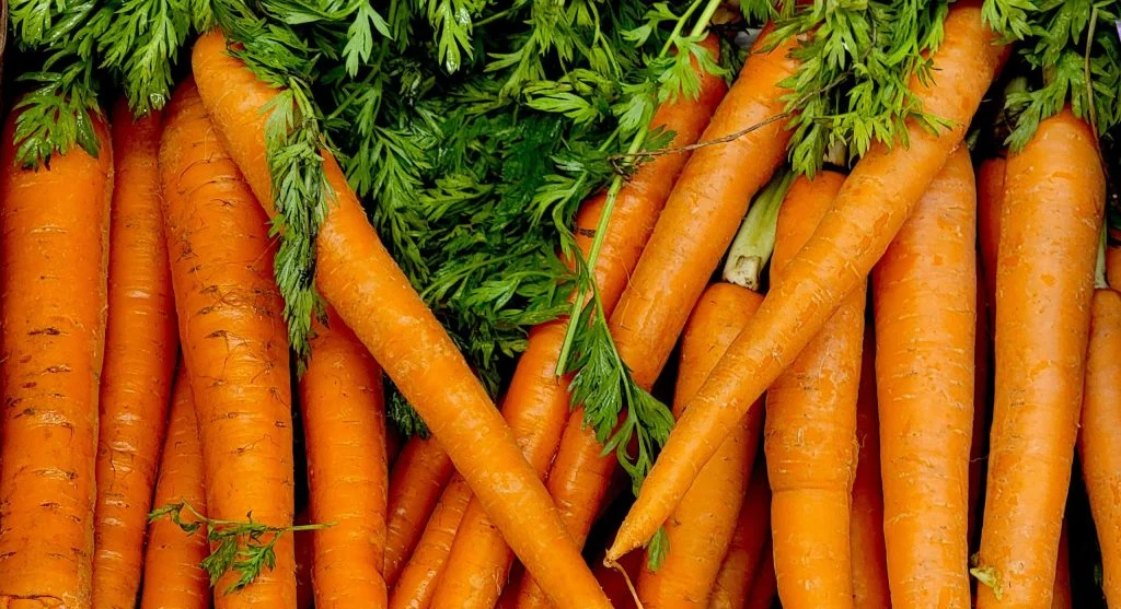 How to Grow Carrots That Are Straight, Sweet, and Full-Sized Every Time