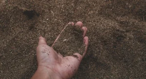 How to Improve Sandy Soil So It Holds More Water and Nutrients for Plants
