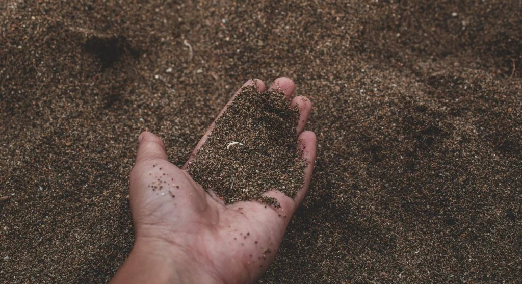 How to Improve Sandy Soil So It Holds More Water and Nutrients for Plants