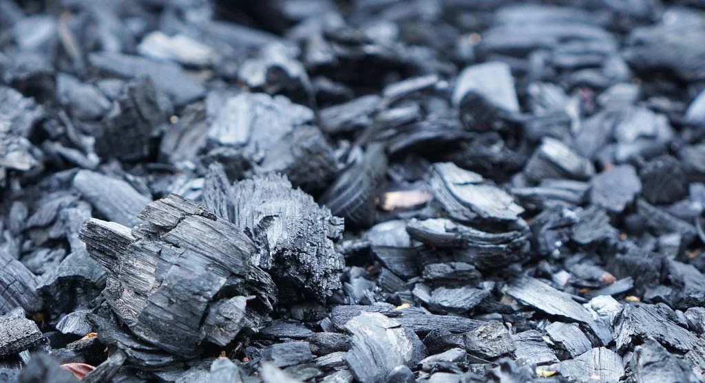 Close-up of porous biochar pieces showing internal structure and surface area