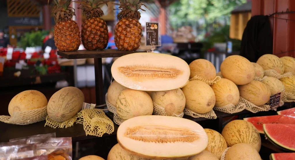 Melon or squash fruit hanging in a fabric sling on a trellis